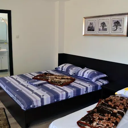 Pensiunea Meridian إيفوري نورد